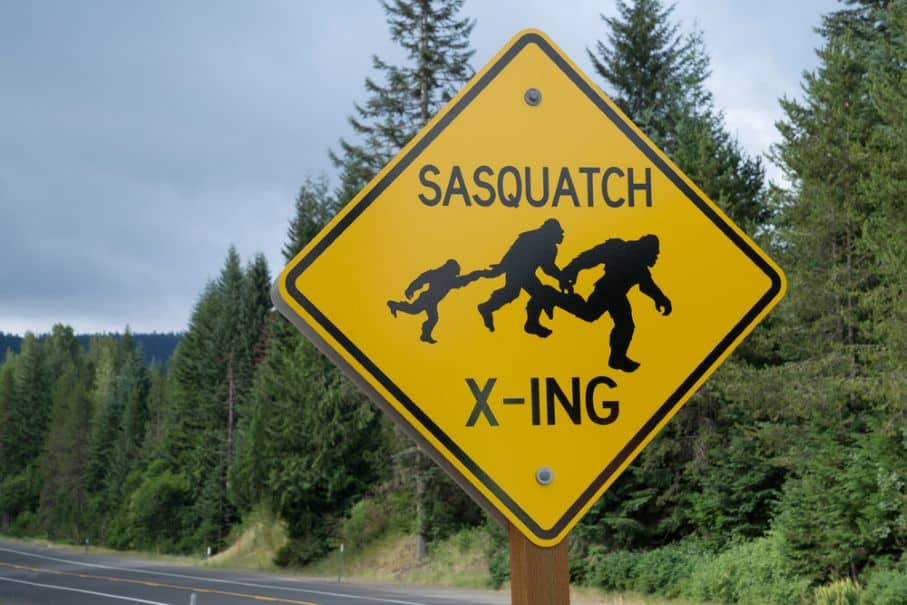 20 Best Bigfoot Experiences in the USA for 2026