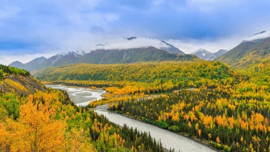 The Best Time to Visit Southeast Alaska: A Seasonal Guide