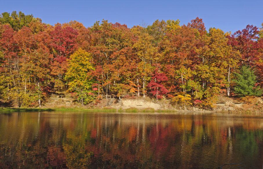Cabins Near Brown County State Park