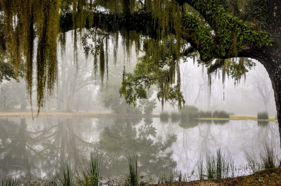 Greenwood, Mississippi Delta Getaway