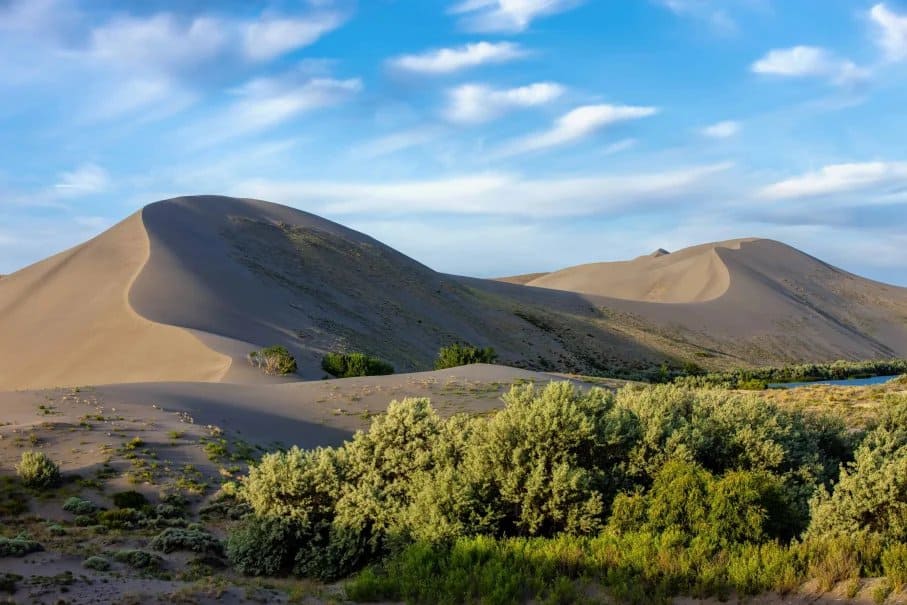 Bruneau Dunes State Park: The Ultimate Guide to Idaho’s Giant Sand Dunes