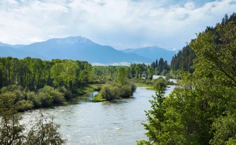Snake River Birds of Prey: A Guide to Idaho’s Raptor Sanctuary