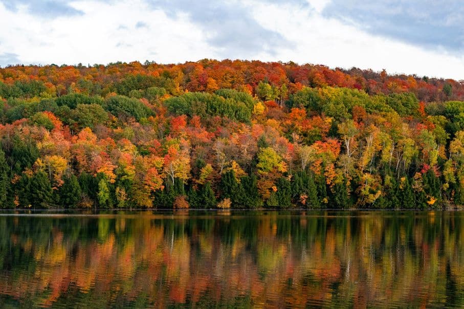 Pet-Friendly Cabins Near Lake St. Catherine State Park