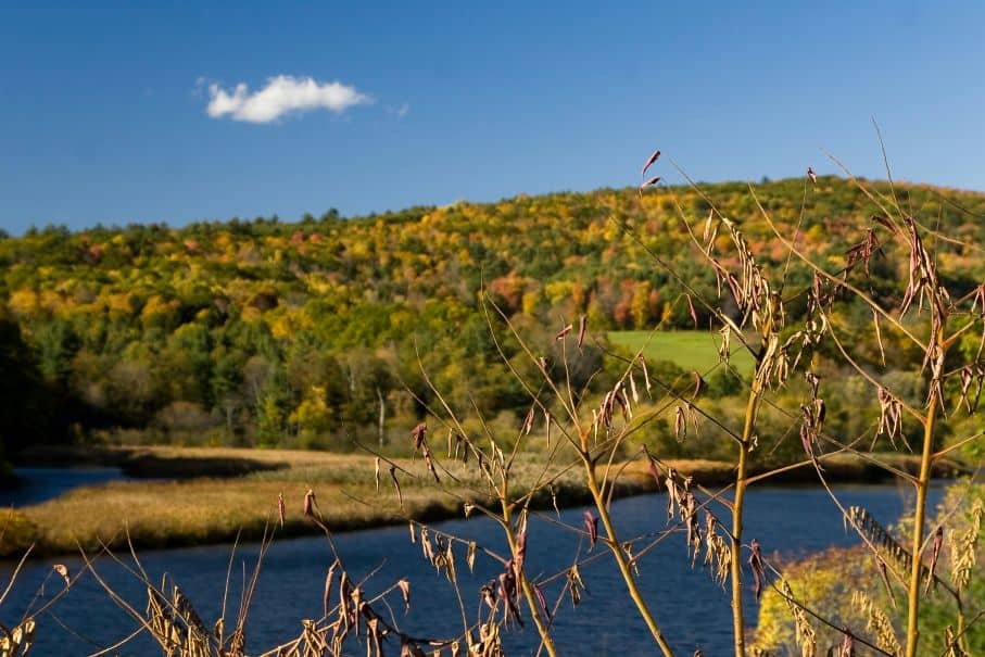 Cabins Near Little River State Park