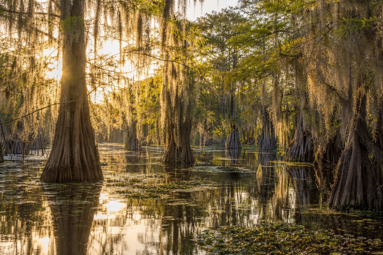 Louisiana travel guide