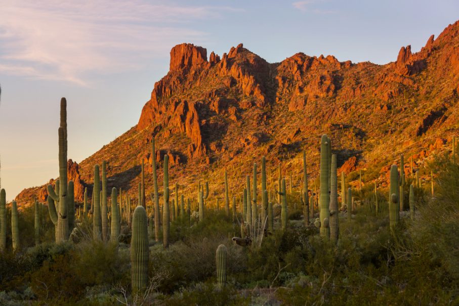 Top 10 Vacation Spots in New Mexico