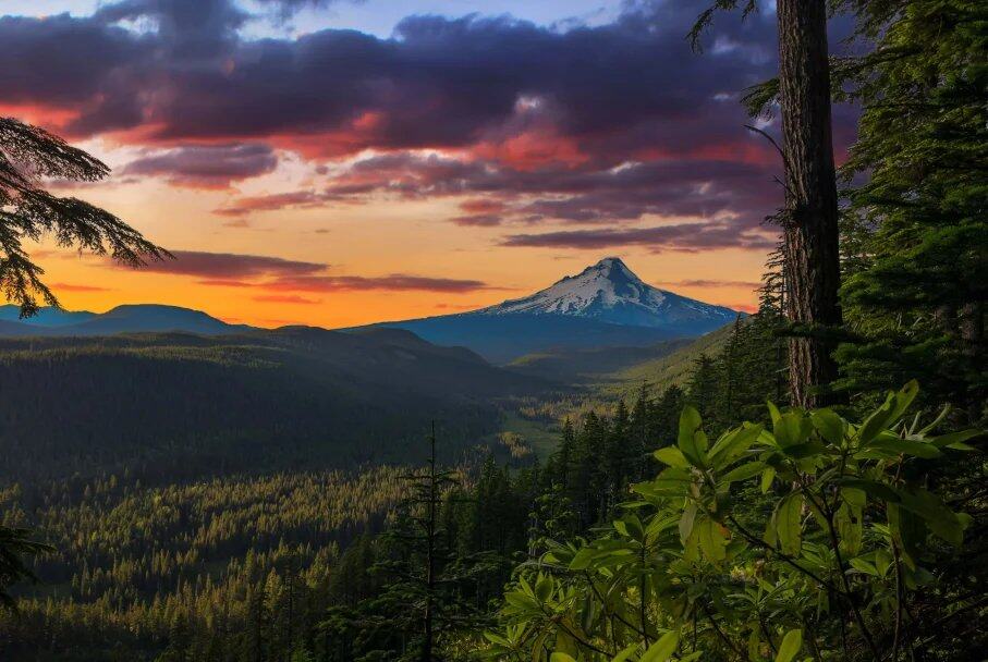 Mount Hood Travel Guide: Best Things to Do Year-Round