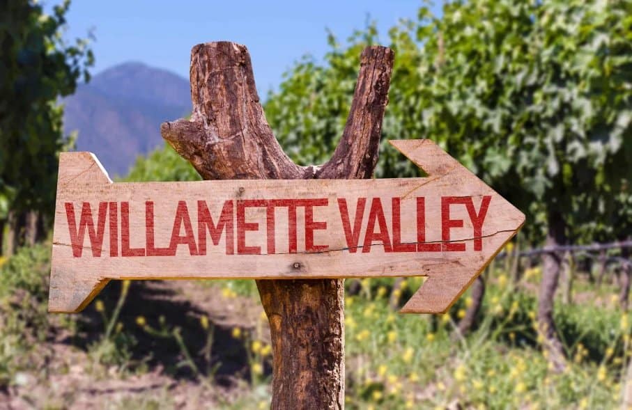 Exploring Oregon’s Willamette Valley: A Wine Lover’s Paradise