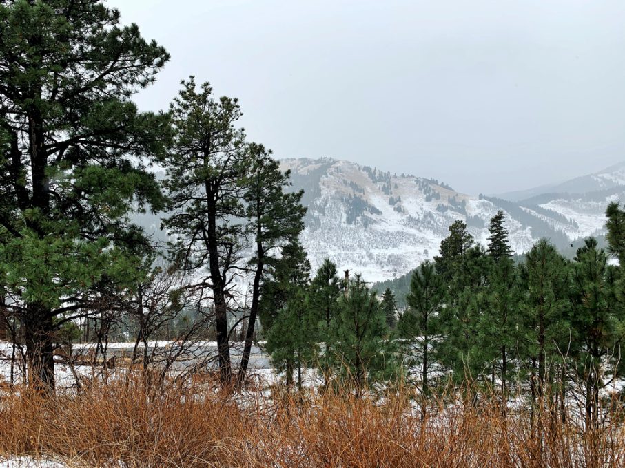 Ruidoso Vacation Guide 2026