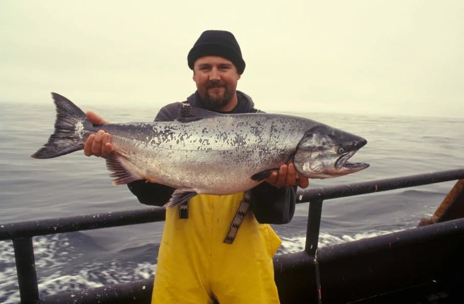 Fishing in Southeast Alaska: A Guide to the Best Spots and Seasons
