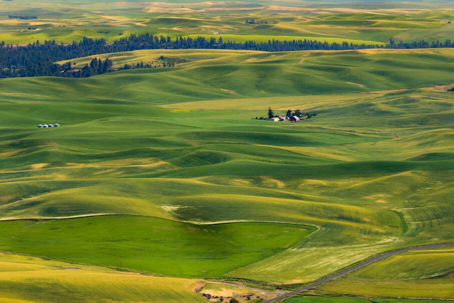 10 Best Things to Do in Colfax, Washington