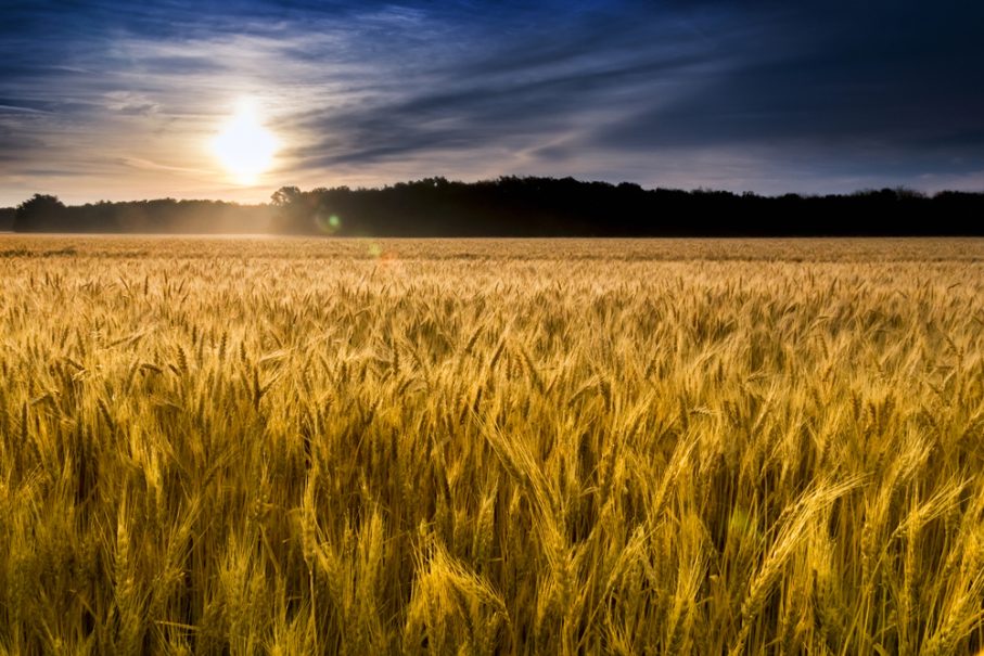 Top 10 Vacation Spots in Kansas