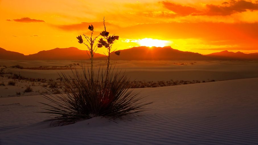 White Sands Vacation Guide 2026