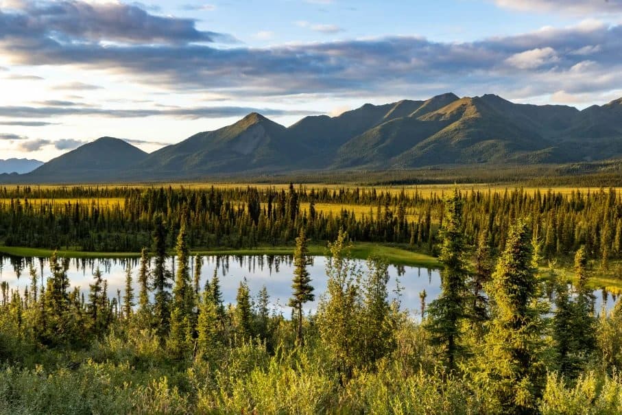 Exploring Southeast Alaska: A Guide to the Coastal Wonderland